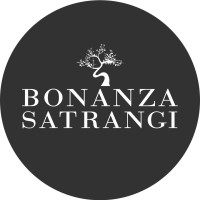 Bonanza logo